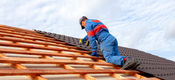 Best Roof Coating and Sealing  in Gainesville, VA