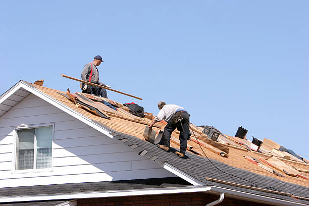 Best Roof Ventilation Installation  in Gainesville, VA